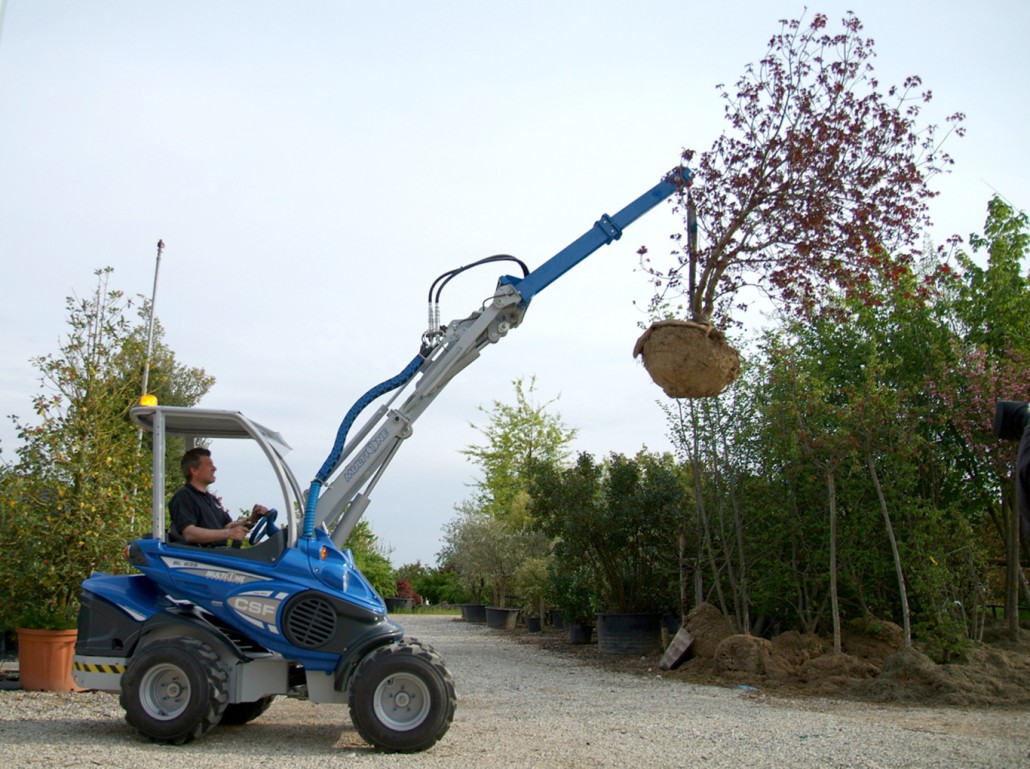 jib crane lifting a planted tree