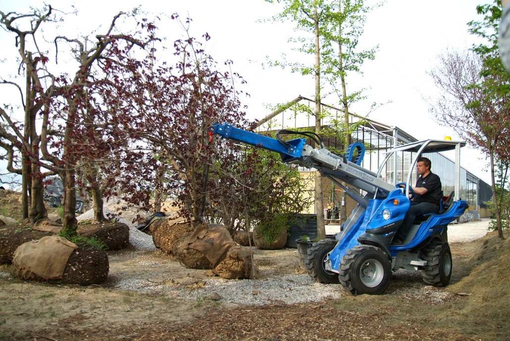 jib crane used on trees